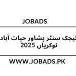 پیرا پلیجک سنٹر پشاور حیات آباد میں نوکریاں 2025