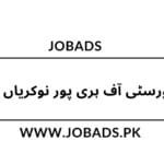 یونیورسٹی آف ہری پور نوکریاں 2025