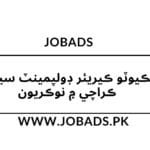 ايگزيڪيوٽو ڪيريئر ڊولپمينٽ سينٽر IBA ڪراچي ۾ نوڪريون